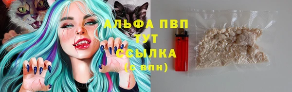 соль ск Горно-Алтайск
