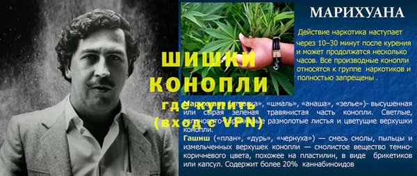 соль ск Горно-Алтайск