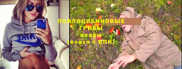 соль ск Горно-Алтайск