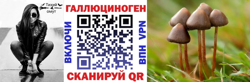 Купить  Красный Сулин  Галлюциногенные грибы мицелий 